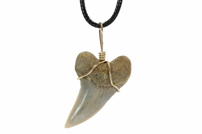 Fossil Mako Tooth Necklace - Bakersfield, California #95244